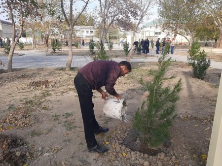Yevlax şəhərində abadlıq, təmir-tikinti işləri uğurla davam etdirilir.