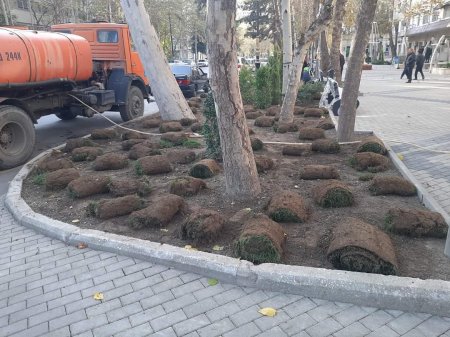 Yevlax şəhərində abadlıq, təmir-tikinti işləri uğurla davam etdirilir.