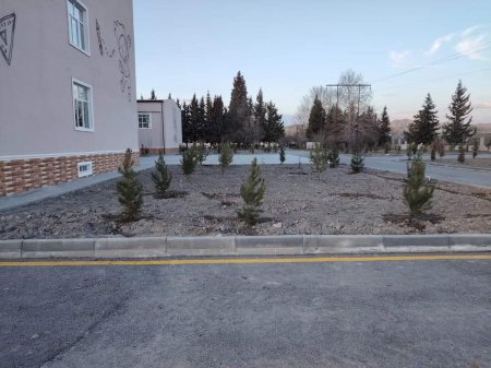 Yevlaxda rayonunda ağacəkmə aksiyaları davam etdirilir Yevlaxda rayonunda ağacəkmə aksiyaları davam etdirilir