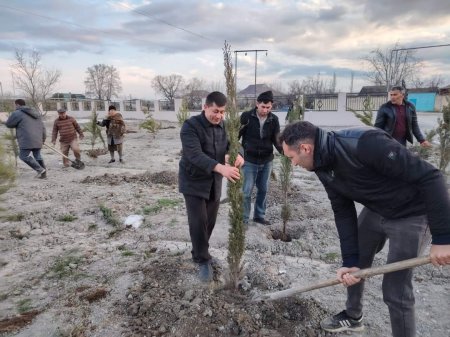 Yevlaxda rayonunda ağacəkmə aksiyaları davam etdirilir Yevlaxda rayonunda ağacəkmə aksiyaları davam etdirilir
