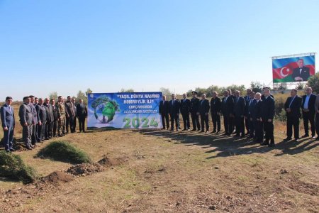 Yevlaxda “Yaşıl dünya naminə həmrəylik ili” çərçivəsində həyata keçirilən silsilə ağacəkmə aksiyası davam etdirilir