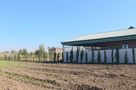Yevlaxda “Yaşıl dünya naminə həmrəylik ili” çərçivəsində həyata keçirilən silsilə ağacəkmə aksiyası davam etdirilir