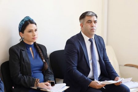 Növbəti qəbulda səhiyyə ilə bağlı suallar müzakirə edildi