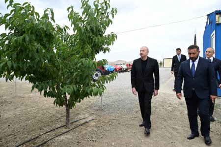İyunun 23-də Azərbaycan Respublikasının Prezidenti İlham Əliyev Yevlax şəhərinə səfər edib. FOTOLAR