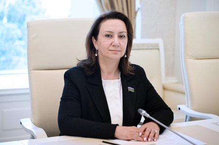 Sosial şəbəkələrdən istifadə ilə bağlı dəyişikliklər - Qadağa deyil, qorunma mexanizmi